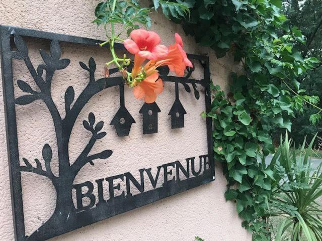 B&B Les Muscades Saint-Étienne-du-Grès 外观 照片