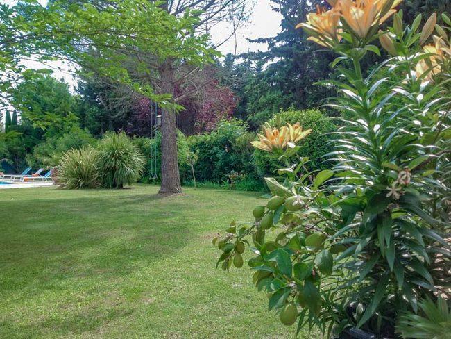 B&B Les Muscades Saint-Étienne-du-Grès 外观 照片